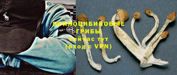 первитин Гусиноозёрск