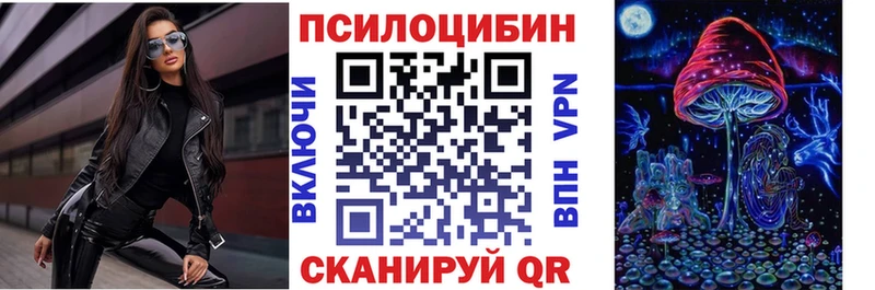 Купить  Кизилюрт  Галлюциногенные грибы Psilocybine cubensis 
